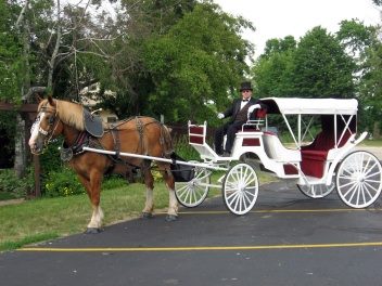 Carriages