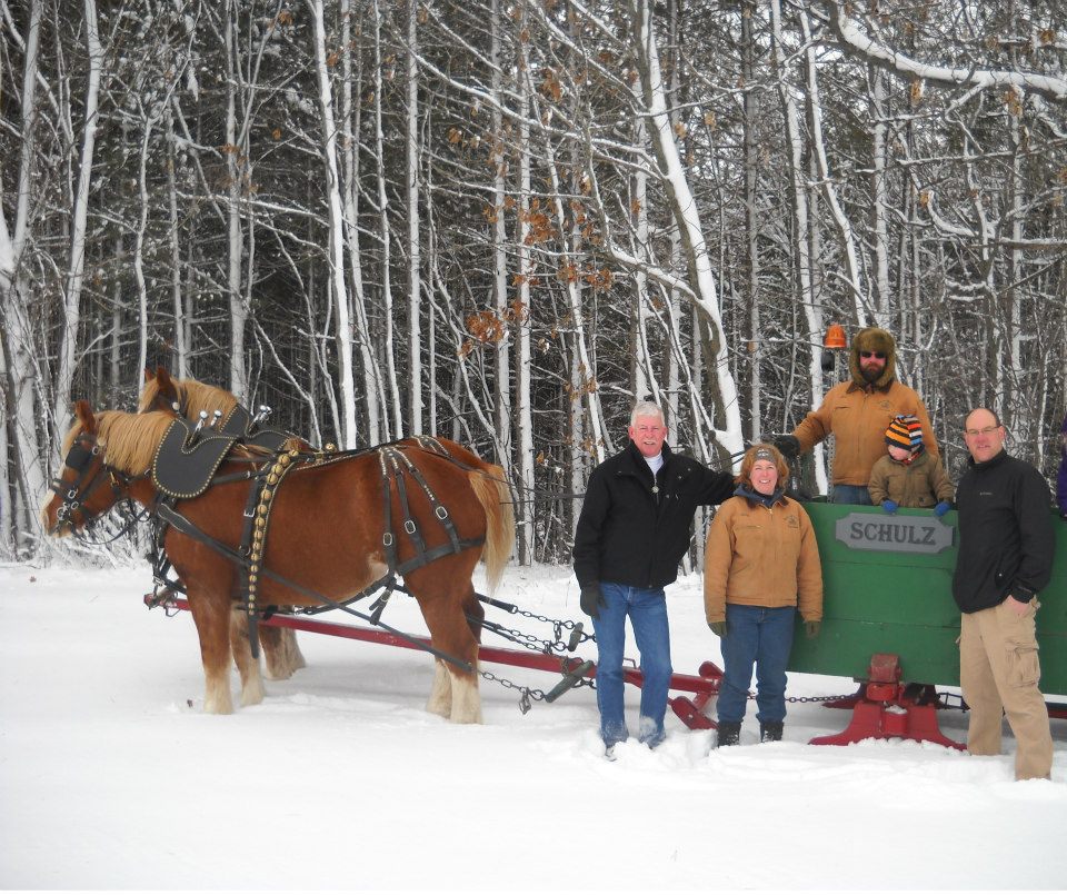 Sleighs